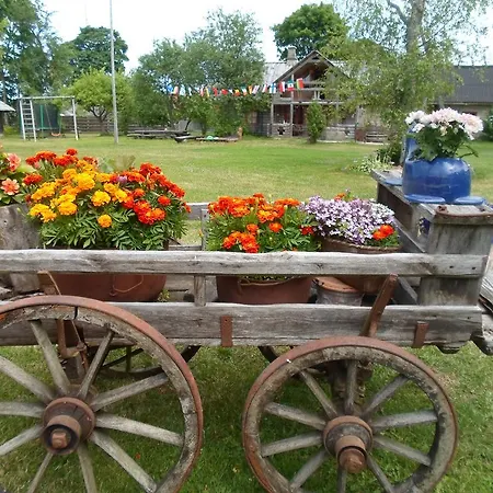 Farm stay Ansumardi Farmstay