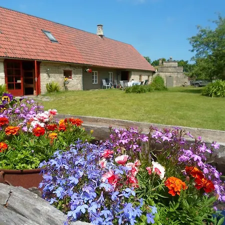 Farm stay Ansumardi Farmstay Kavandi