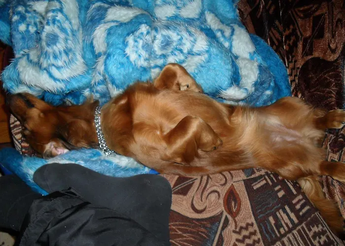 Gospodarstwo agroturystyczne Ansumardi Kavandi