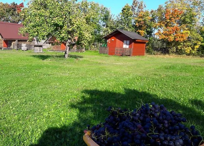 Ansumardi Gospodarstwo agroturystyczne *